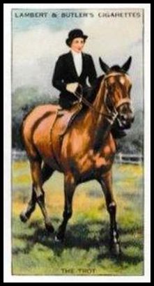 46 The trot (Woman side saddle)